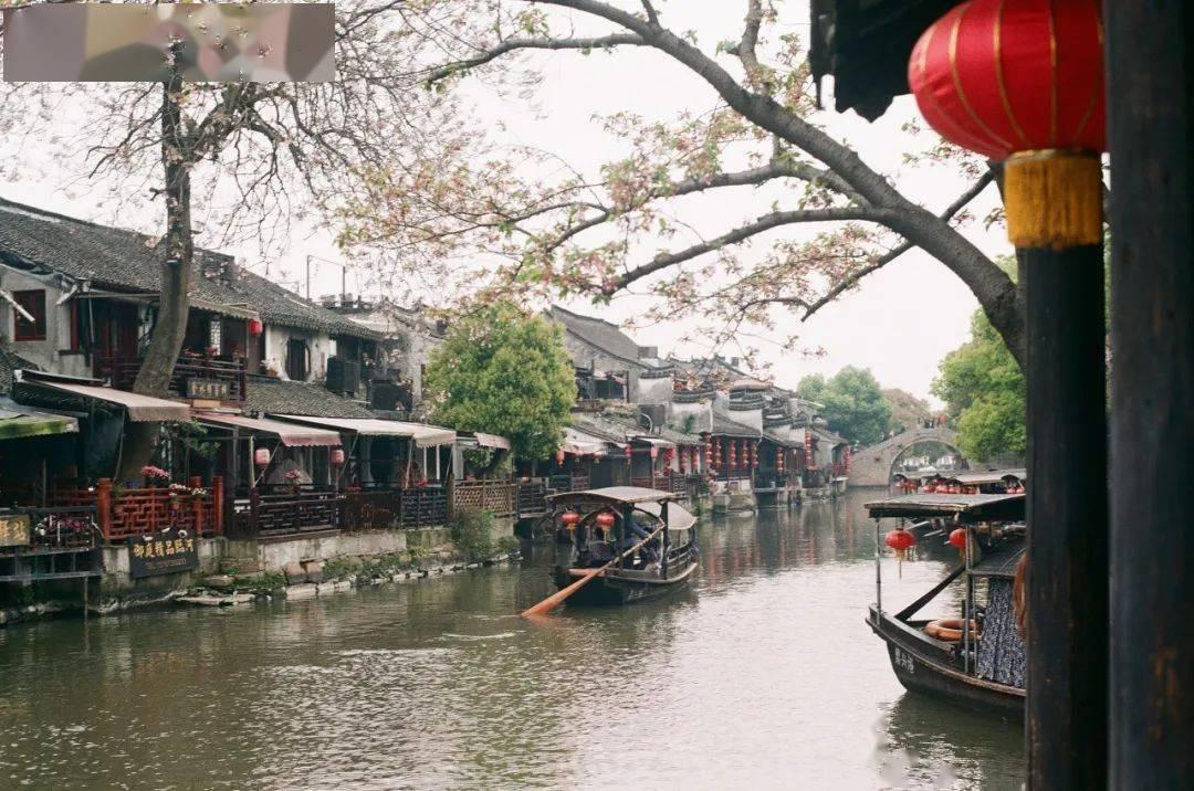 动物帮帮忙保卫家园